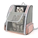 Mesh Portable Pet Backpack